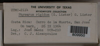 Image Associated With the Occurence